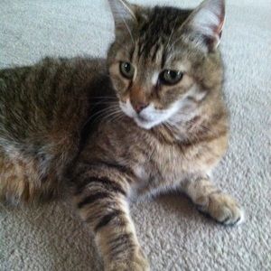 Meet your Posher, Kate